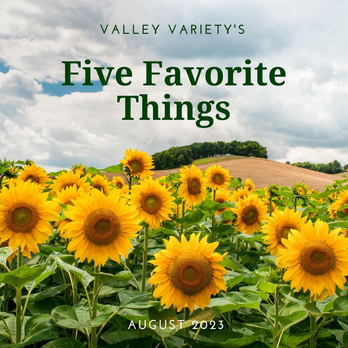 Five Favorite Things - August 2023 - Valley Variety