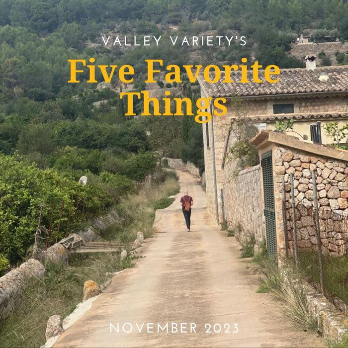 Five Favorite Things - November 2023 - Valley Variety