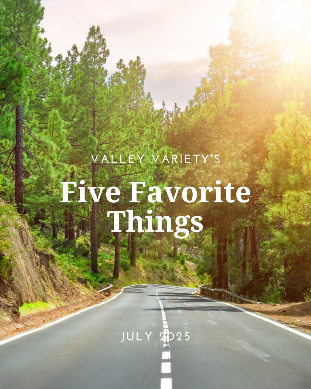 Five Favorite Things - July 2025 - Valley Variety
