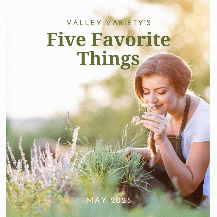 Five Favorite Things - May 2025 - Valley Variety