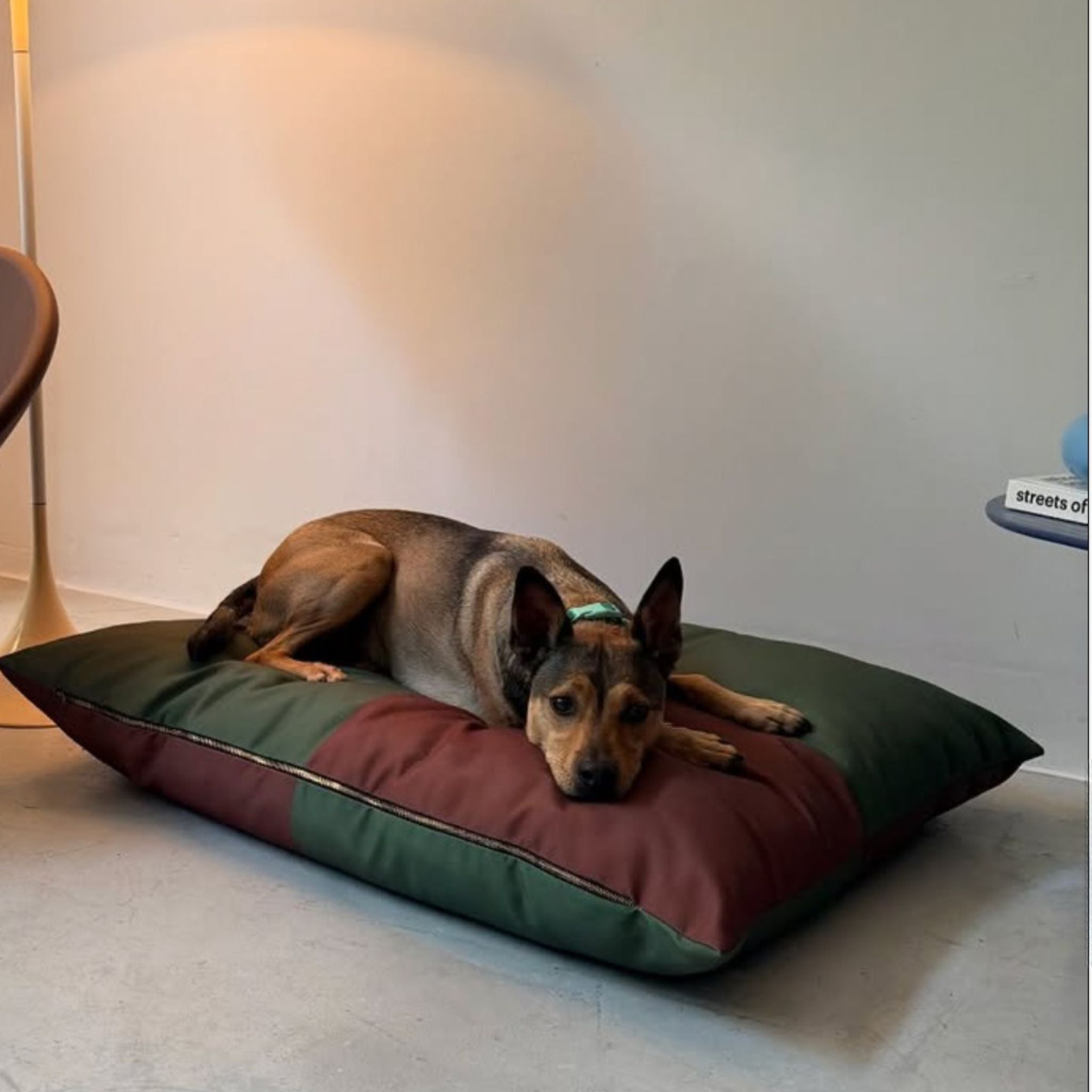 The Fritz Bed - Valley Variety - Approved by Fritz