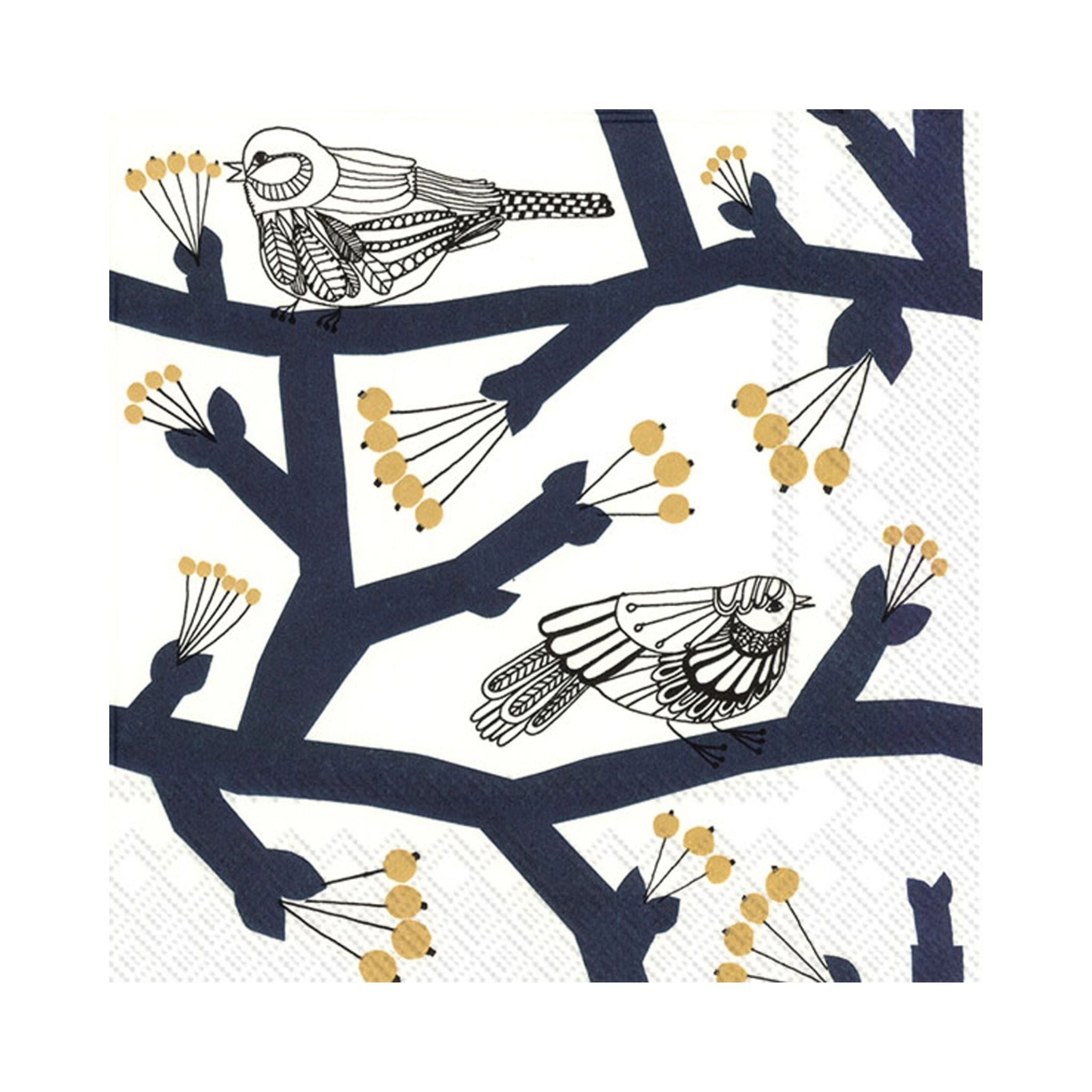 Paper Cocktail Napkins - Valley Variety - Boston International