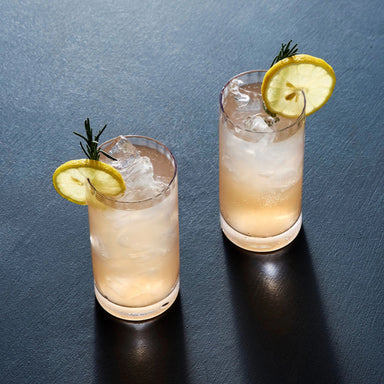 Odeon Highball Glass - Valley Variety- Canvas Home