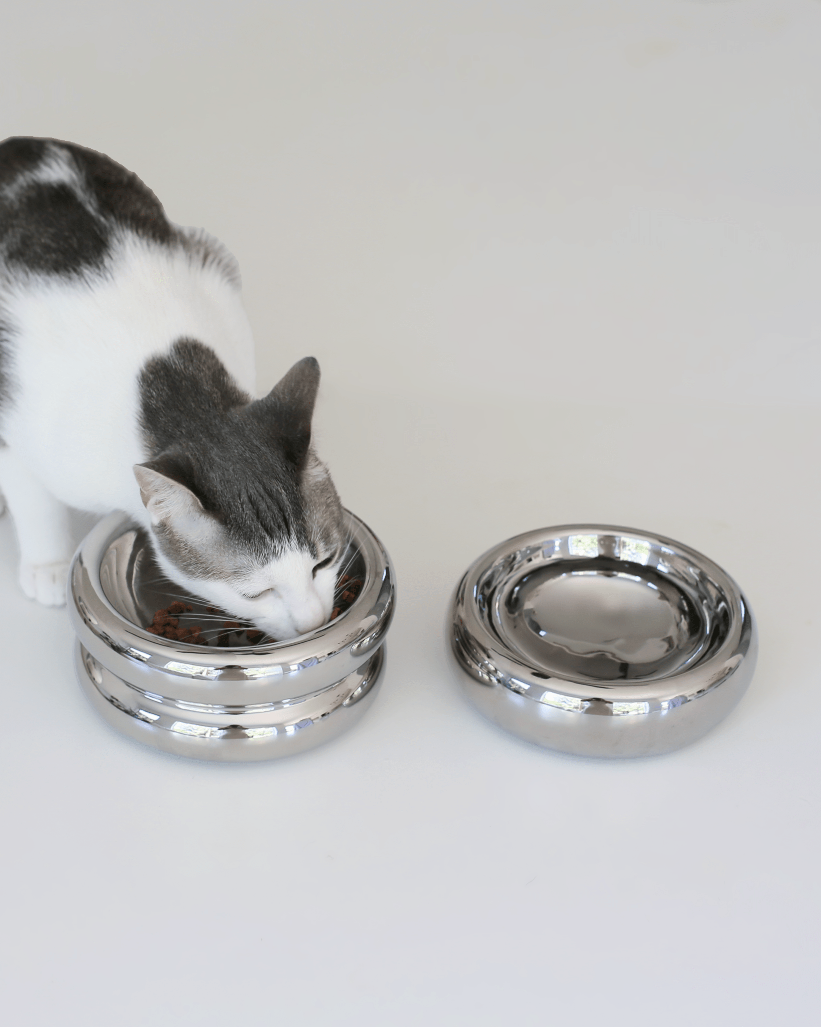 Elevated Halo Bowl Chrome - Valley Variety - Catenary Home
