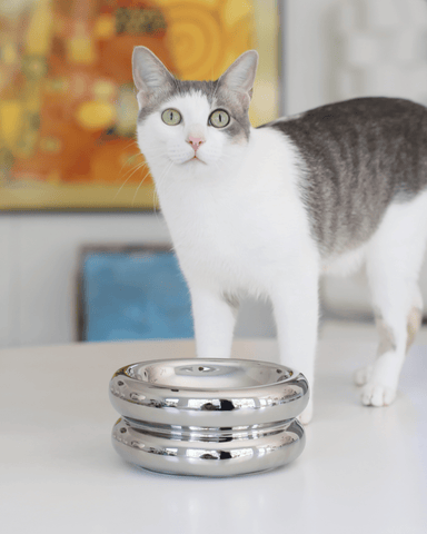 Elevated Halo Bowl Chrome - Valley Variety - Catenary Home