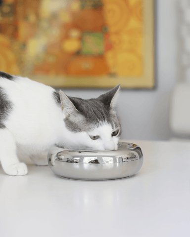 Halo Bowl Chrome - Valley Variety - Catenary Home
