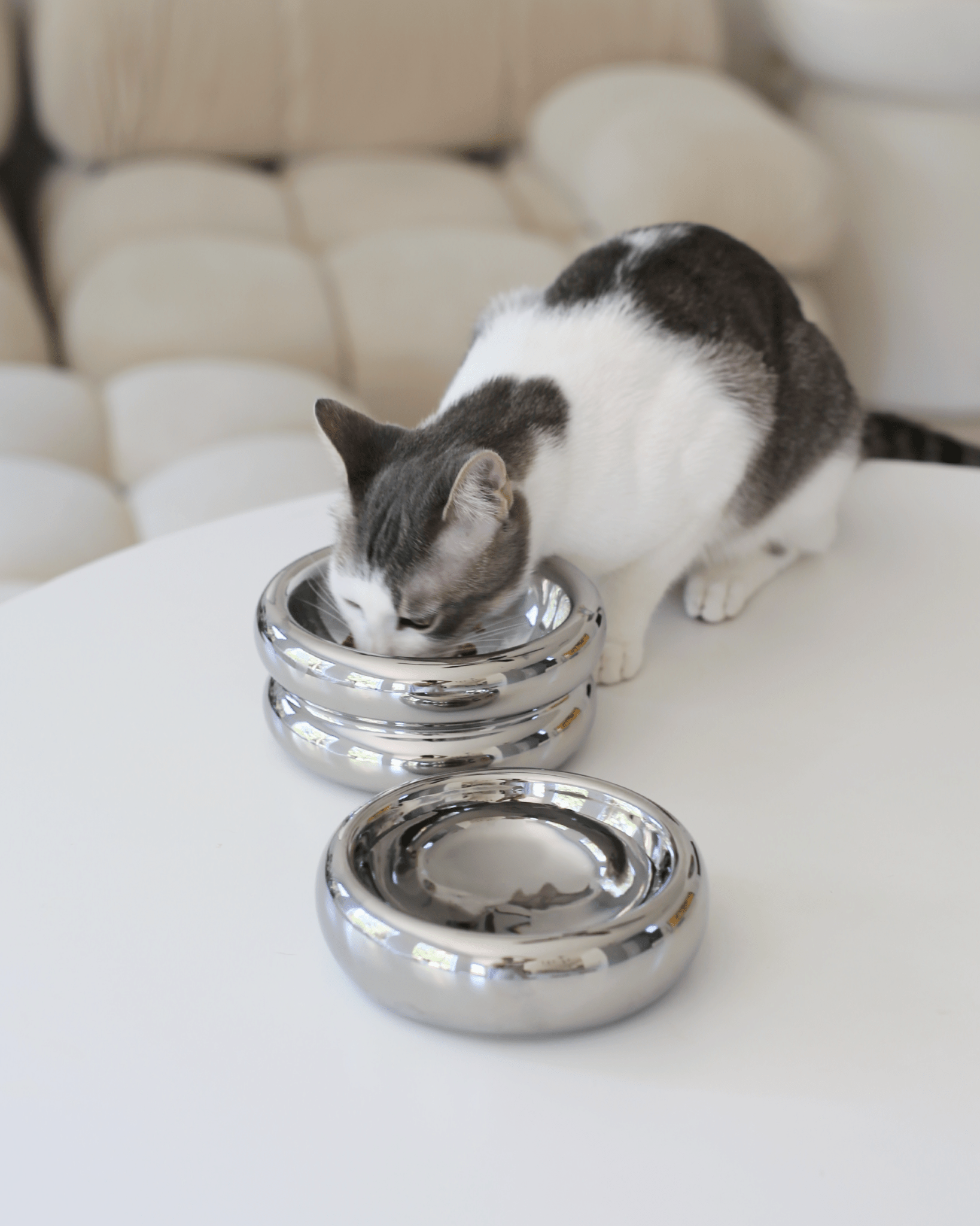 Halo Bowl Chrome - Valley Variety - Catenary Home