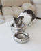 Halo Bowl Chrome - Valley Variety - Catenary Home