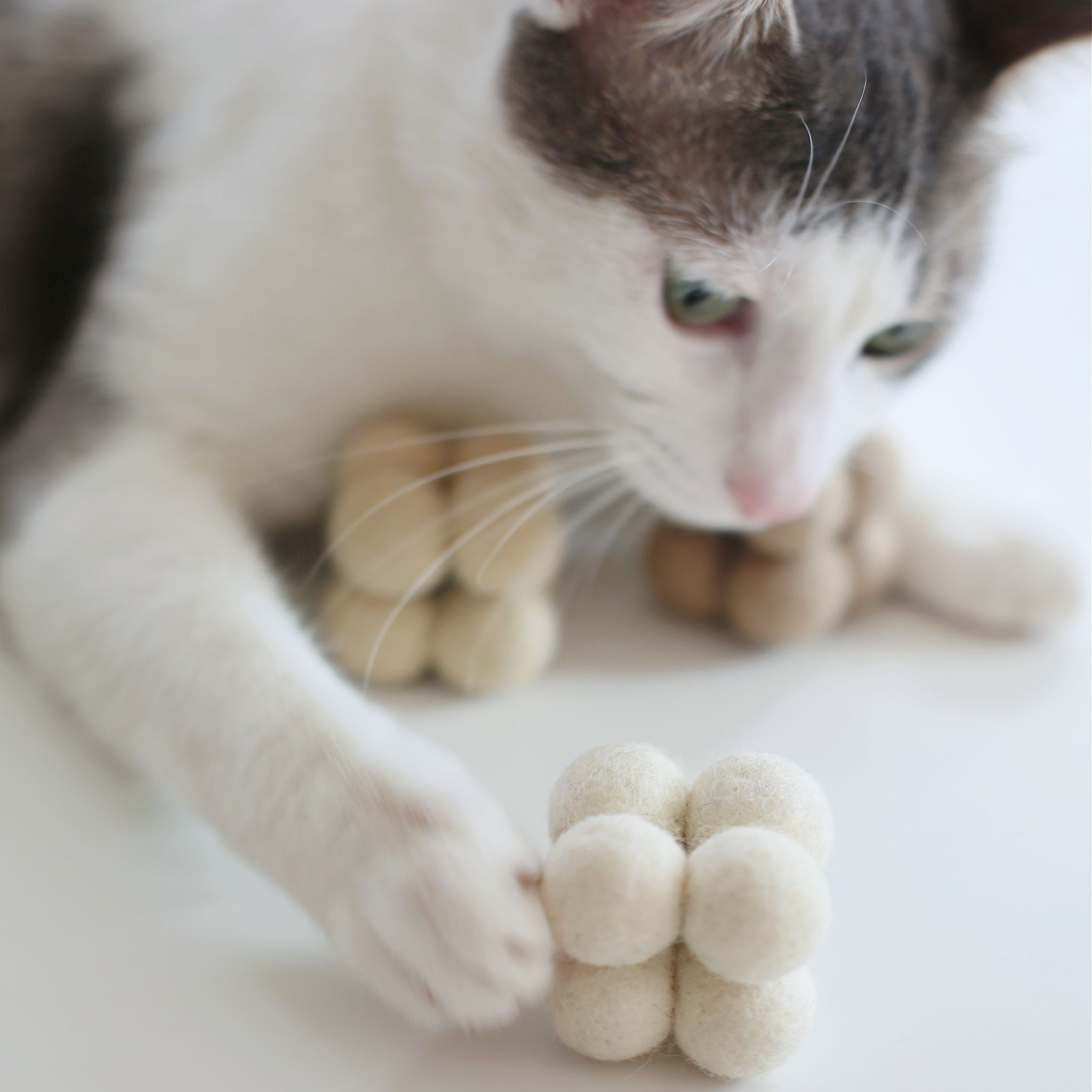 Pearl Cat Toys - Valley Variety - Catenary