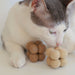 Pearl Cat Toys - Valley Variety - Catenary