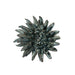 Coral Ceramic Art - Valley Variety- Chive