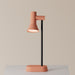 Gallery Task Light - Valley Variety- Gantri