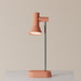 Gallery Task Light - Valley Variety- Gantri