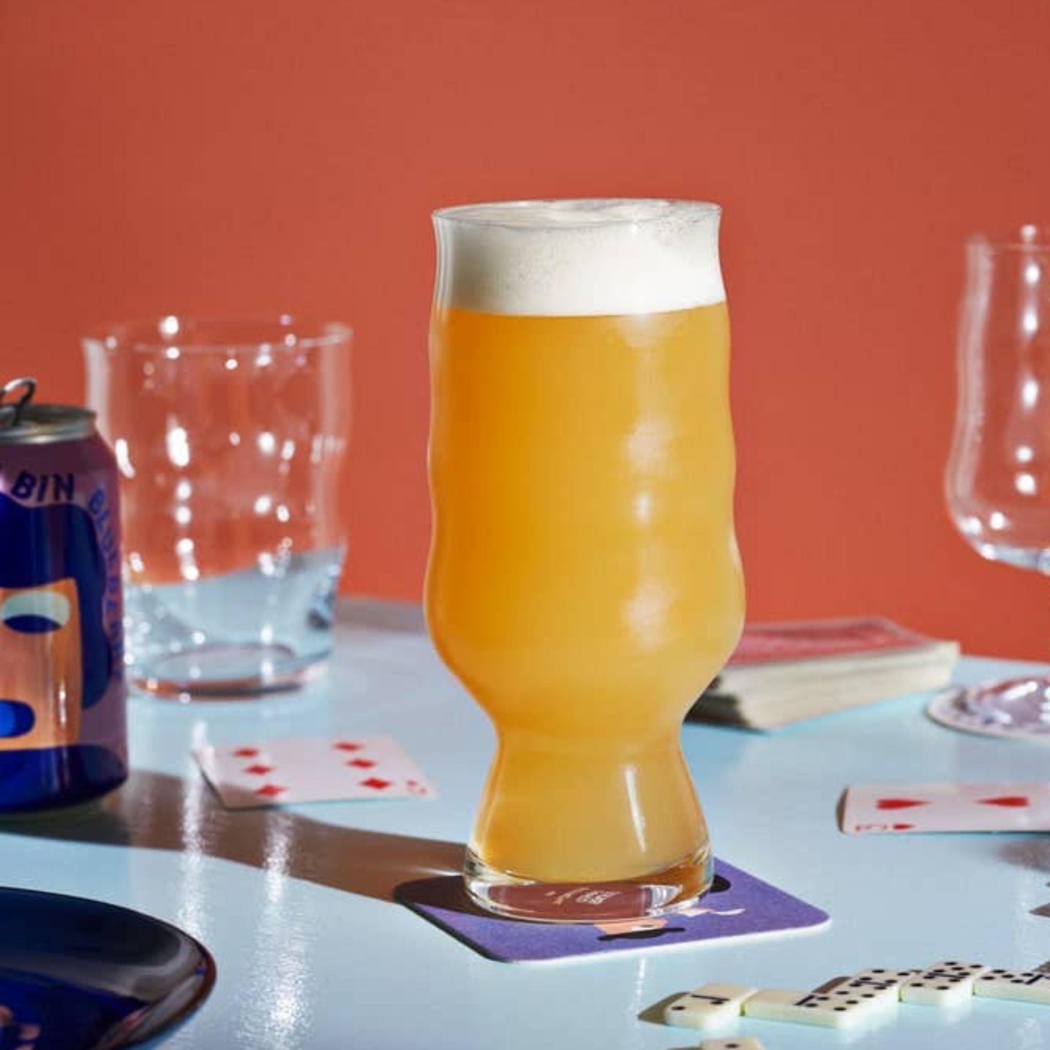 Holmegaard x Mikkeller 16.9 oz Beer Glass - Valley Variety - Holmegaard