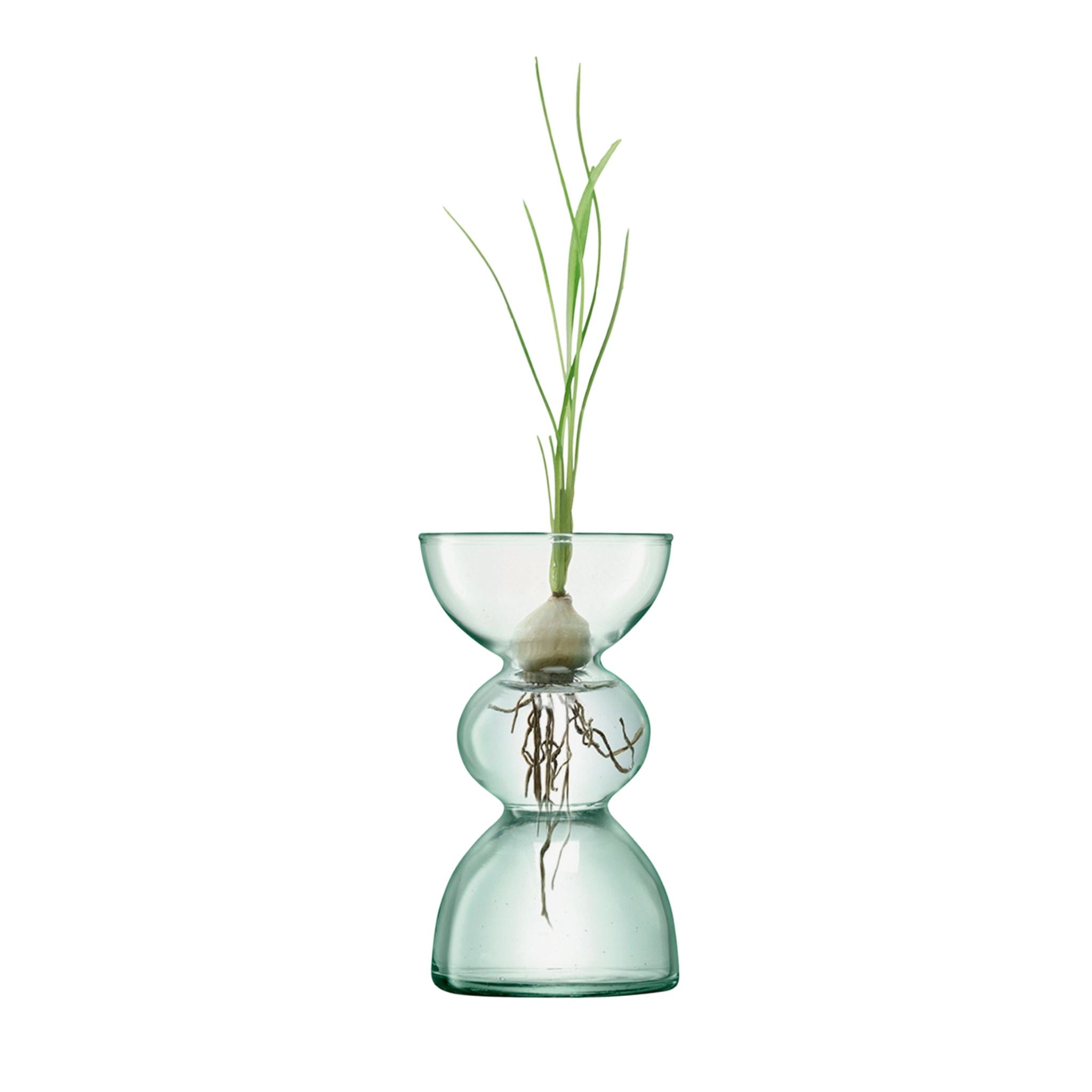 Canopy Dome Vase - Valley Variety