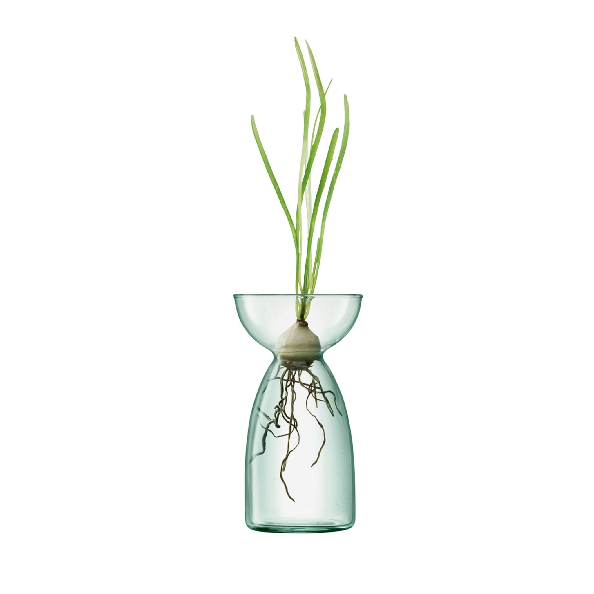 Canopy Dome Vase - Valley Variety