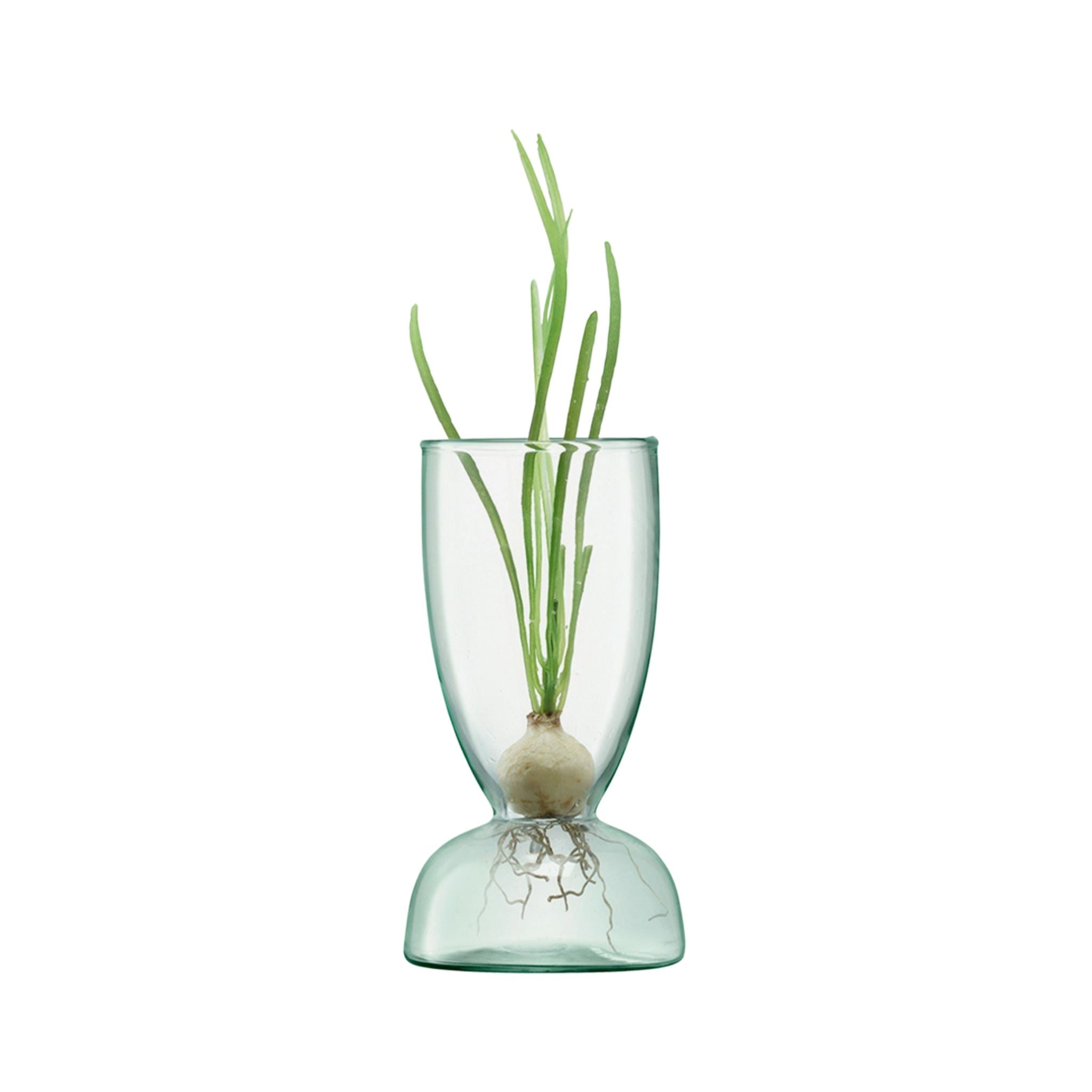 Canopy Dome Vase - Valley Variety