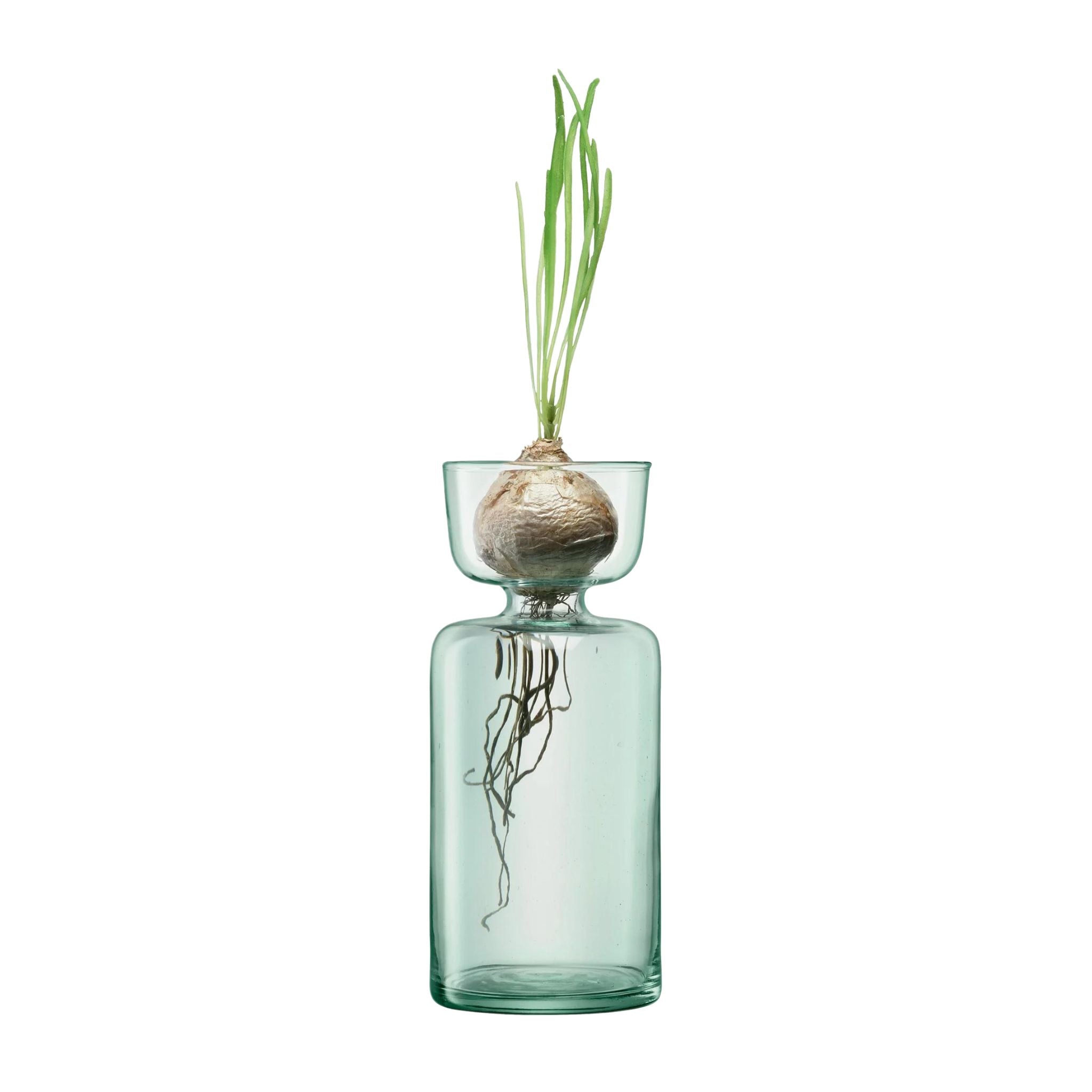 Canopy Vase/Bulb Planter - Valley Variety