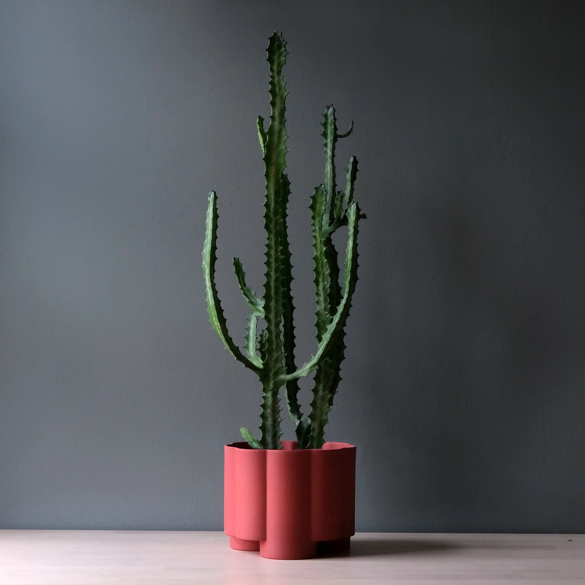 indoor brick planter Pillar Ceramic Planter — Valley Variety