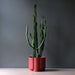 Pillar Ceramic Planter - Valley Variety - Misewell