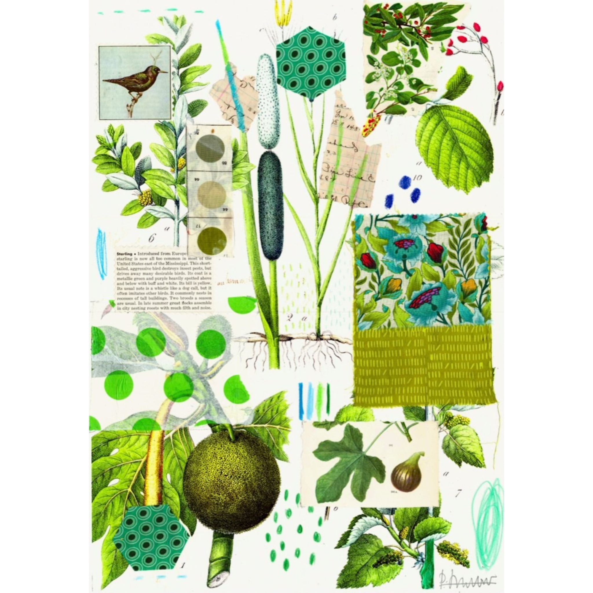 Botanical Tea Towels - Valley Variety