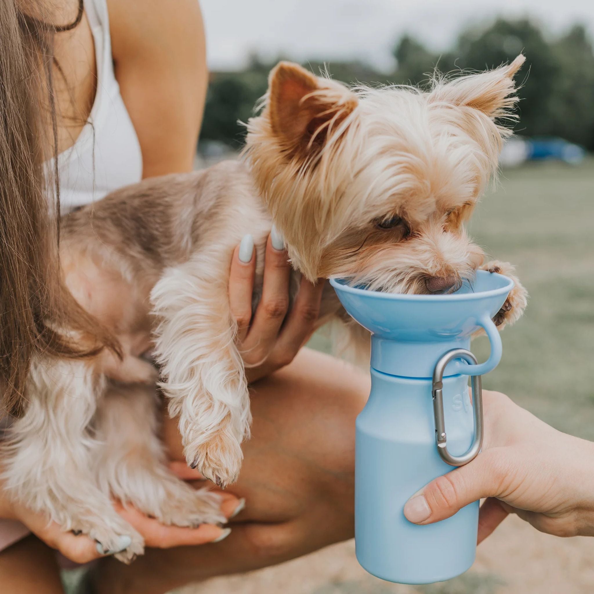 Dog Water Travel Bottle