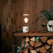 The Muse Portable Lamp - Valley Variety