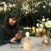 The Muse 2.0 Portable Lamp - Valley Variety - Tala