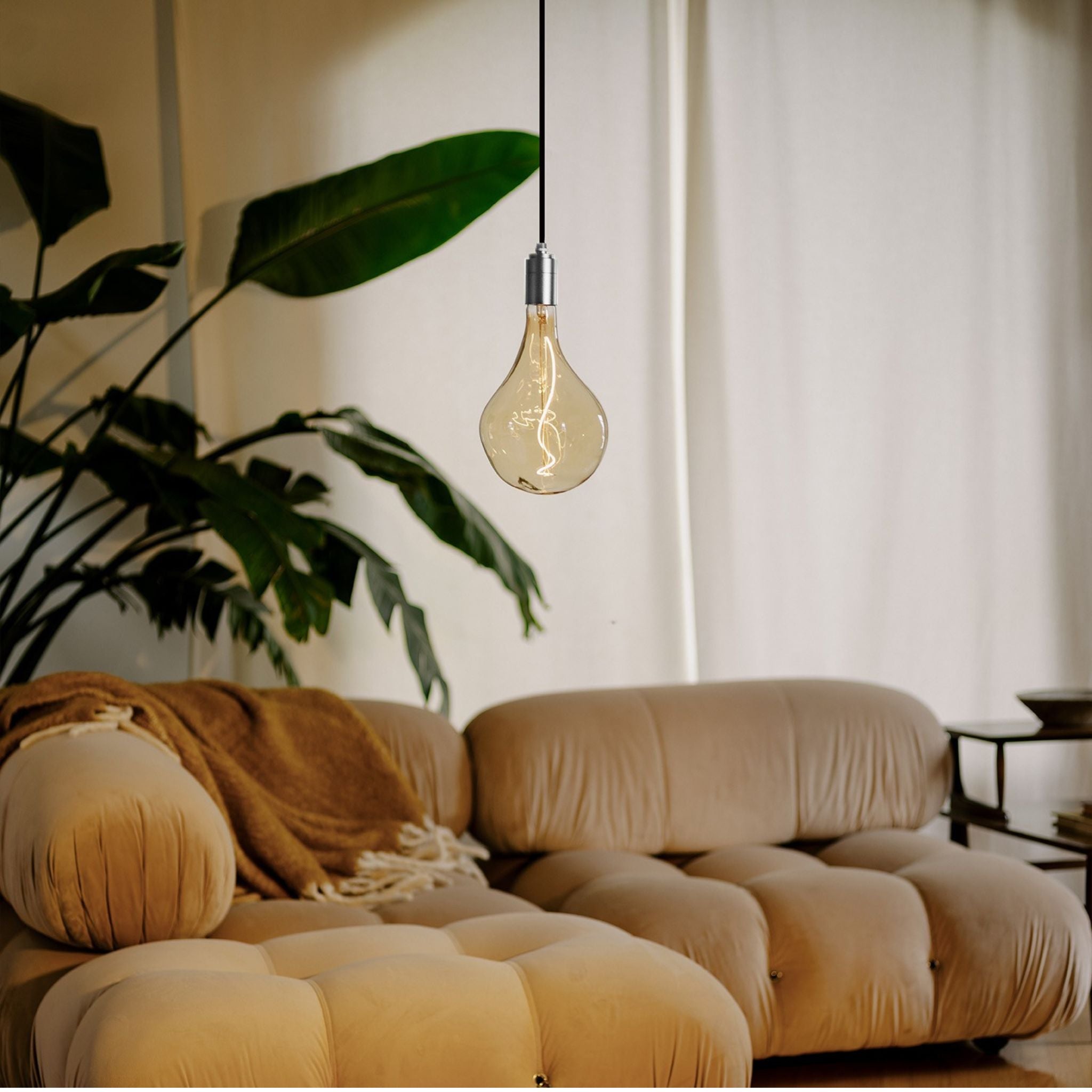 Pendant with Voronoi Bulb - Valley Variety - Tala