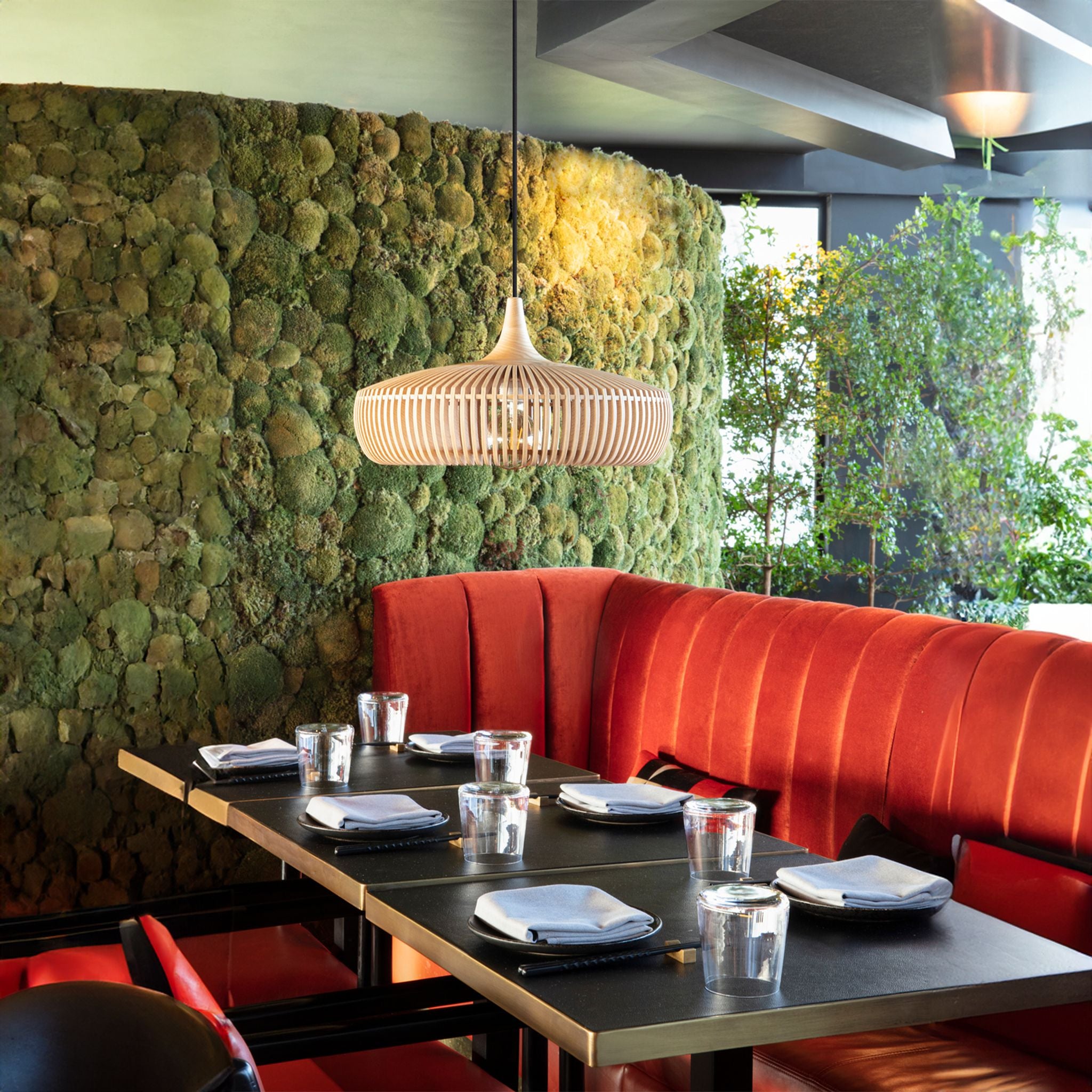 Clava Dine Wood - Valley Variety - Umage