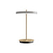 Asteria Move Portable Lamp - Valley Variety