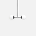 Olympic Dumbbell Light - Valley Variety - Andrew Neyer