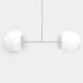 Olympic Dumbbell Light - Valley Variety - Andrew Neyer