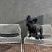 Hot Mesh Lounge Chair - Valley Variety - Blu Dot