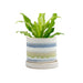 Big Minute Pot & Saucer - Valley Variety - Chive