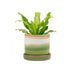 Big Minute Pot & Saucer - Valley Variety - Chive