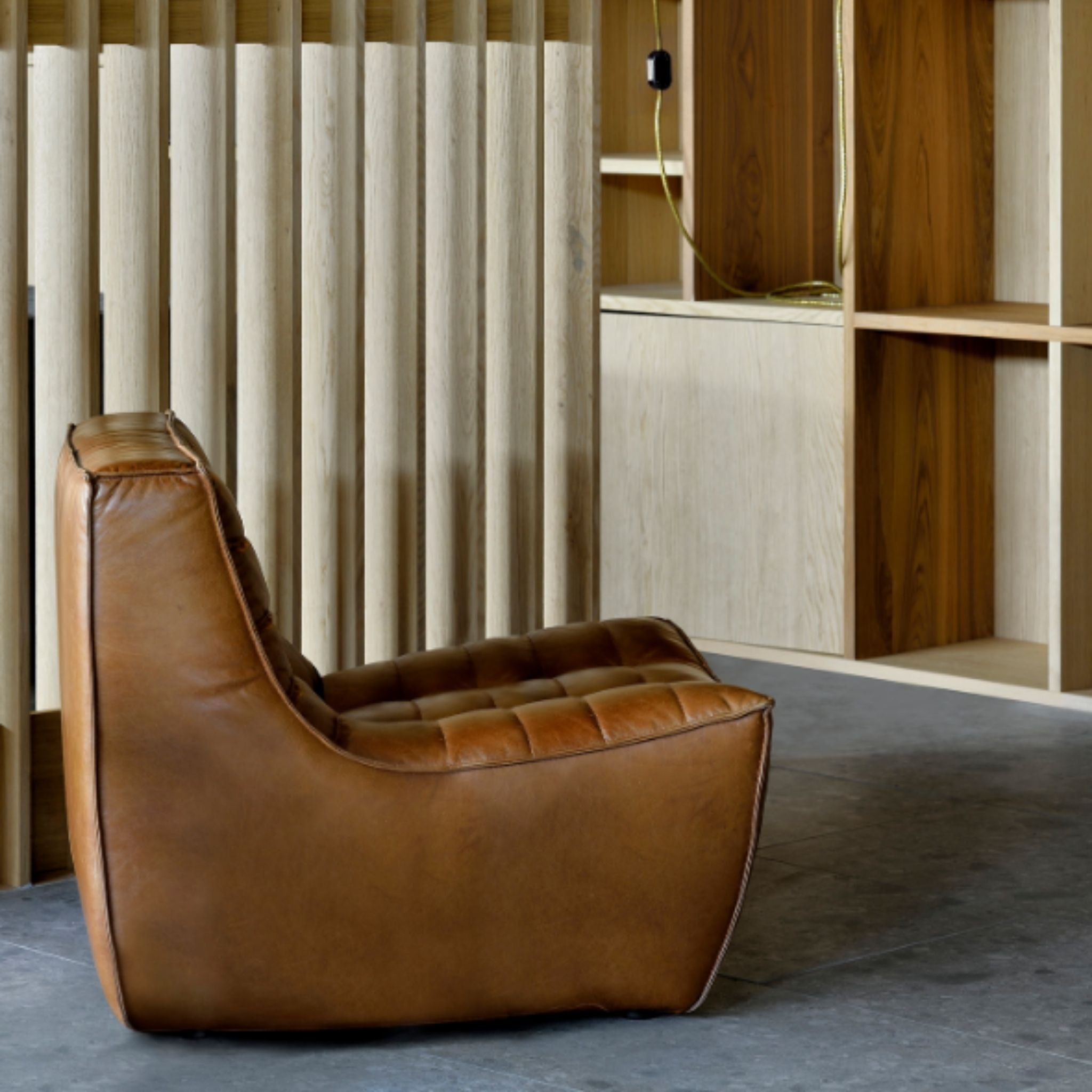 N701 Lounge Chair - Valley Variety - Ethnicraft