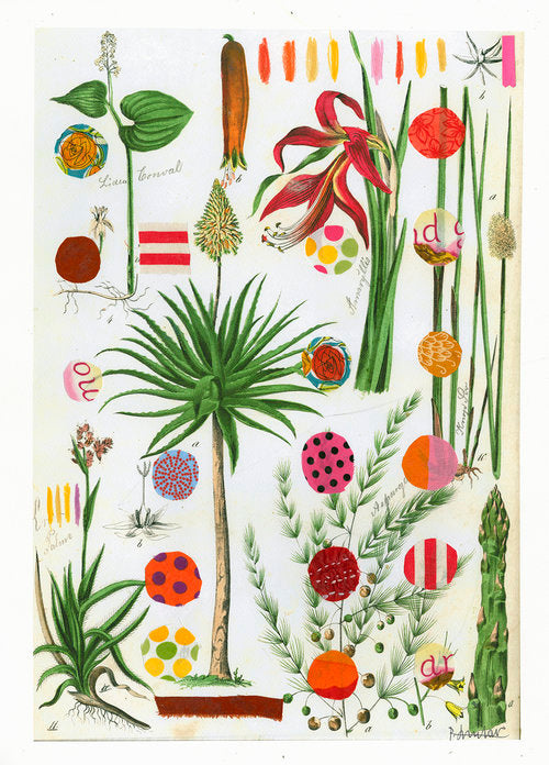 Botanical Tea Towels