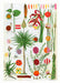 Botanical Tea Towels - Valley Variety